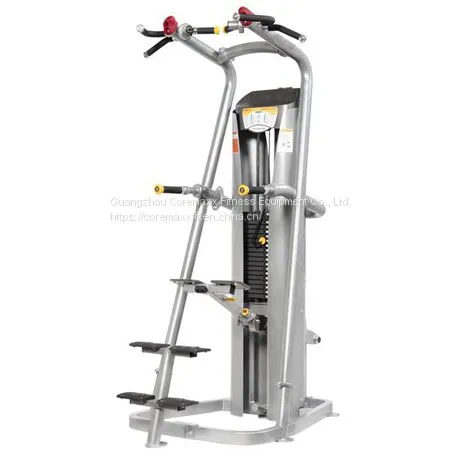 CM-219 Chin-Dip Assist Machine
