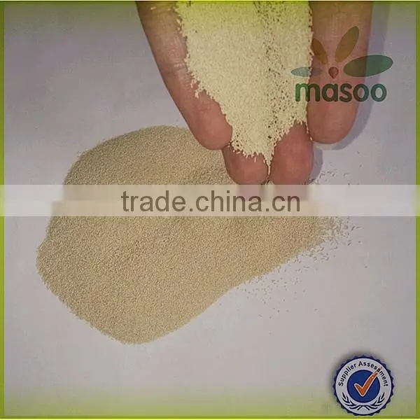 Dried active bread yeast for sale