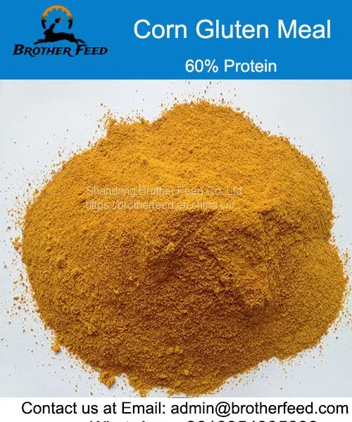 Protein 60% Animal Feed Poultry Feed Additive Grade Corn Gluten Meal Corn Not Gluten Meal