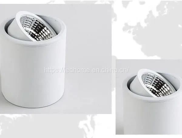 Surface Adjustable COB LED Down Lights (12W) photo-3