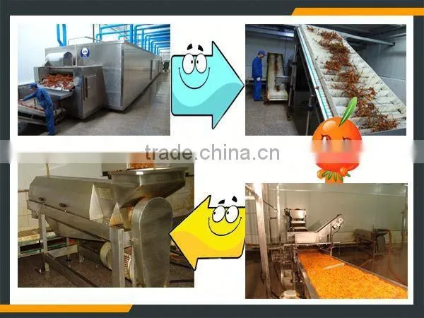 Leader Hot!!!sea Buckthorn Fruit Machine for Fruit Wine photo-5