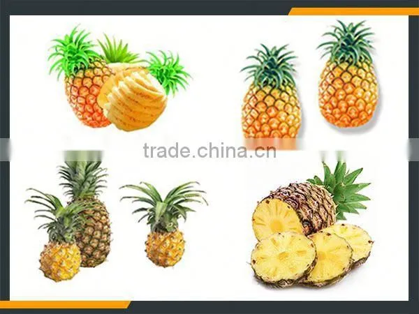 Leader Pineapple Peel and Pulp Separater With Low Power Consumption photo-6