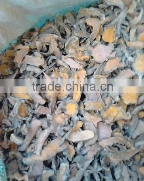 Slice Dried Turmeric From Indonesia. Good Taste and Cucurmin Content photo-3