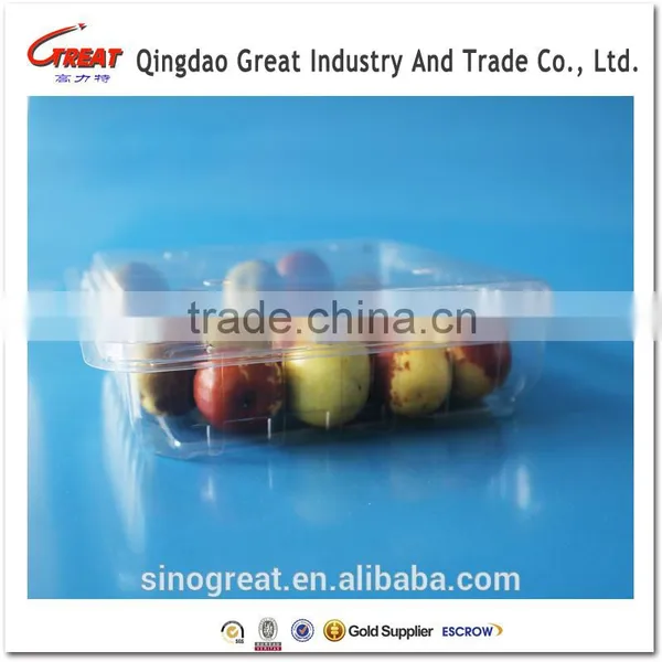 Transparent Pet Plastic Food Packaging Box 500L Quality Choice photo-3