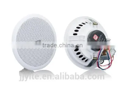 Ceiling Speaker