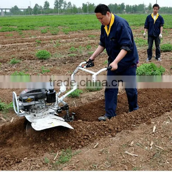 Banana Cultivation Tractor Chisel Plough Garden Ploughs Rotary Plough for Walking Tractor photo-2