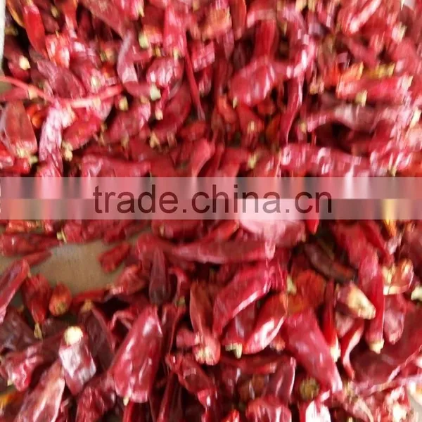 Chinese Best Quality Pepper Nail Clean Machine photo-2
