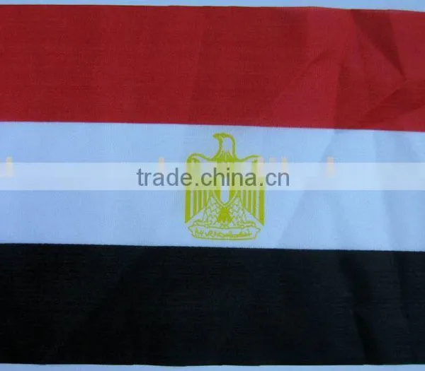 Hand Flag, Embroidery Flag, Sports Flag, Promotional Flag, Football Flag
