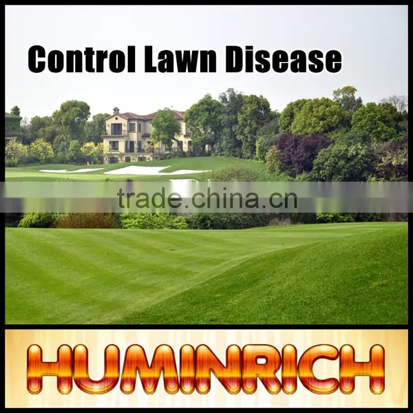 Huminrich Shenyang 2-4mm Granulated Humic Acid Fertilizer From Coal photo-2