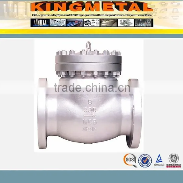 Stainless Steel Swing Check Valve for Industry photo-3
