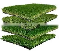 Artificial Grass