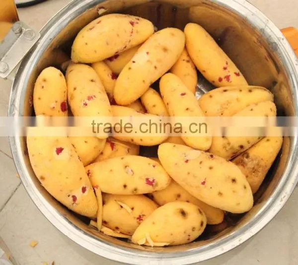 Industrial High Efficient Fresh Ginger Potato Washer and Peeler Root Vegetable Washing and Peeling Machine Fish Skin Peeler photo-5