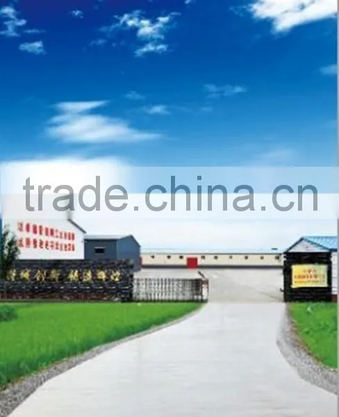 White Striped Black Sunflower Seeds Wholesale Price photo-5