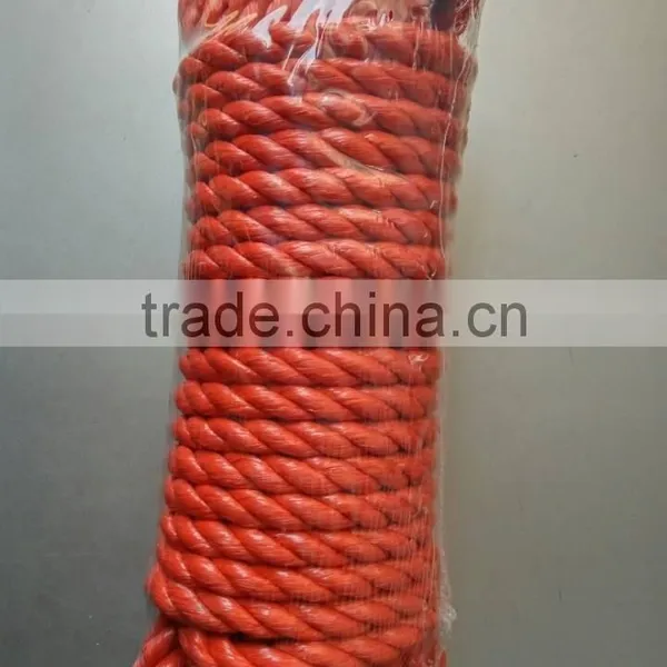 Sea Grass Rope photo-4