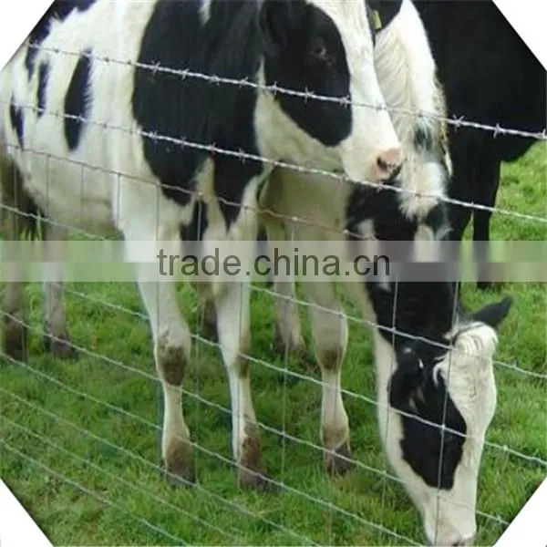 High Quality Galvanized Field Fence for Sale / Sheep Fence / Galvanized Fiedl Fence for Sale photo-5