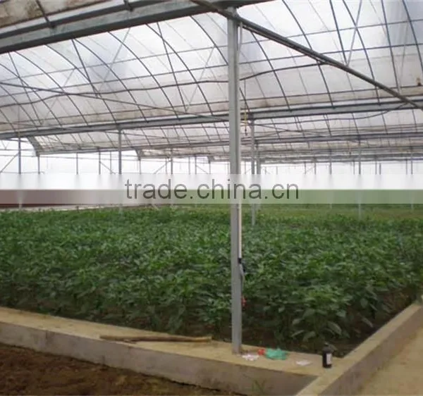 Galvanized Tube Structure Multi-Span Greenhouse Used for Growing Plantings photo-4