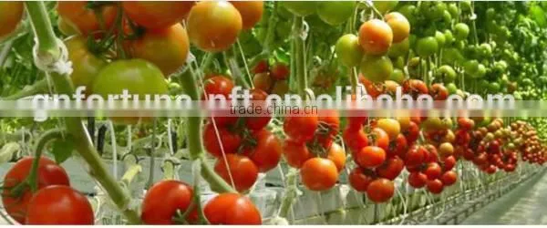 2017 Hot Sell Plant Support Clips for Vine Garden Vegetables
