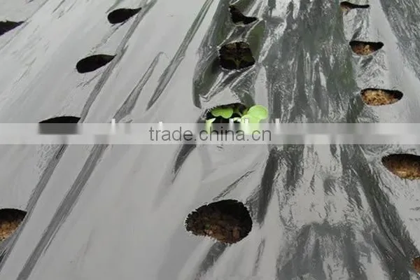 Agricultural Plastic Black Builders Mulch Film photo-5