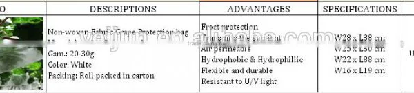 Nonwoven Fabric pp Non-woven Fabric for Agriculture photo-3
