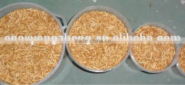 Freeze Dried Mealworms photo-3