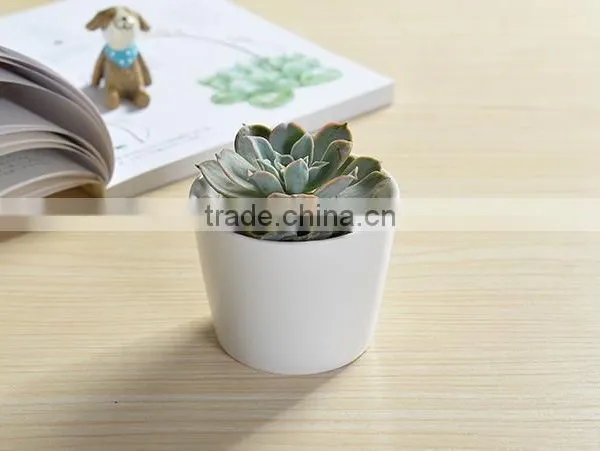 Indoor Mini Ceramic Decor White Plant Pot photo-3