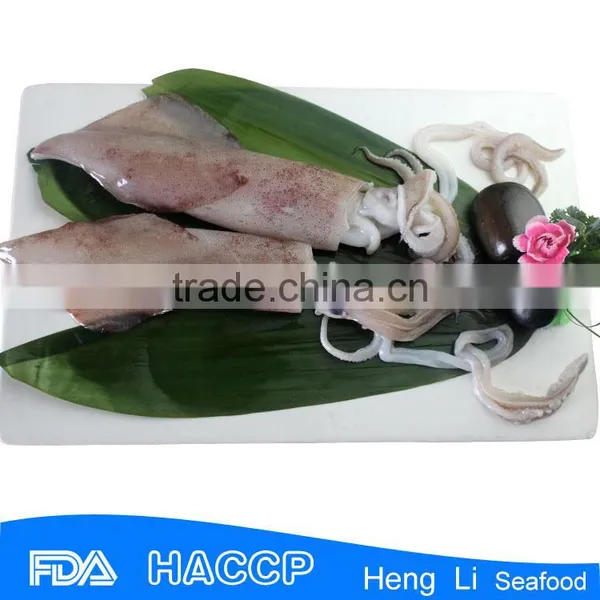 HL0088 Illex Squid Tubes Squid Fish