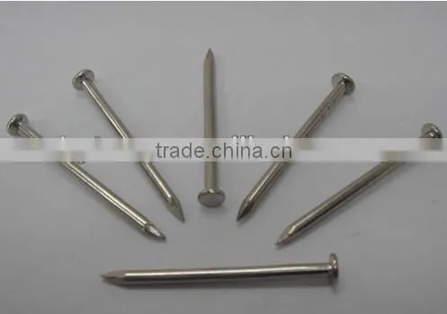 Galvanized Roofing Nails With Umbreall Head photo-5