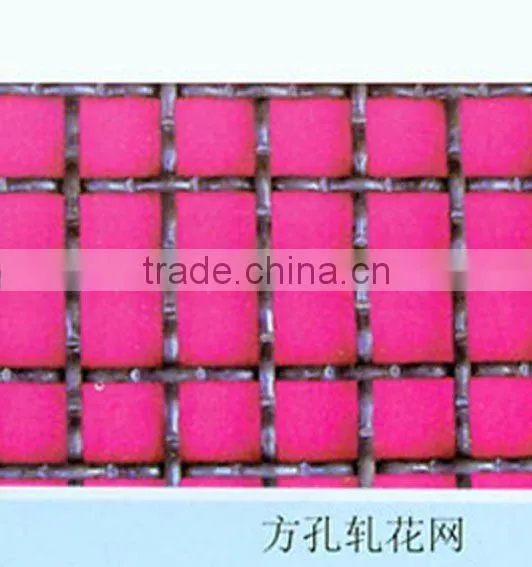 Crimped Wire Netting