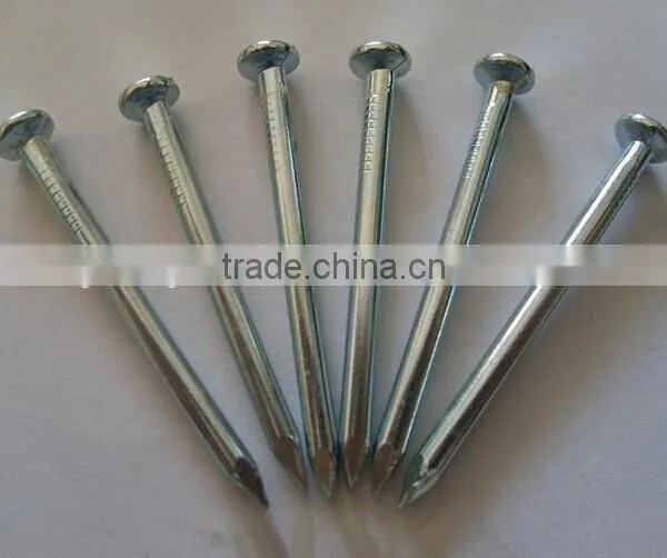 Fluted Steel Concrete / Cement Nails for Construction photo-4