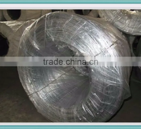 Galvanized Iron Wire Sale in Linyi China photo-6
