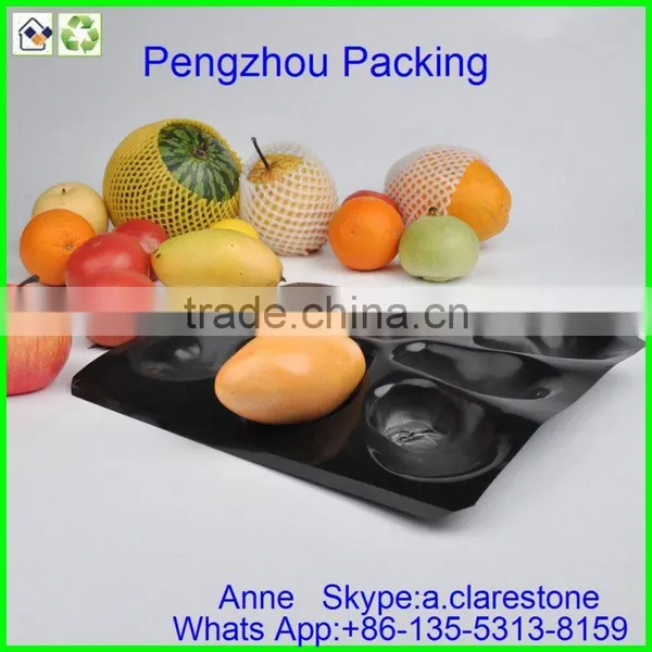Pengzhou Autoclavable Plastic Tray photo-3