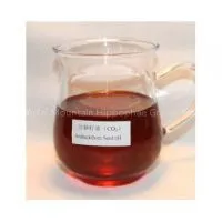 GMP Approved Natural and Pure Seabuckthorn Seed Oil