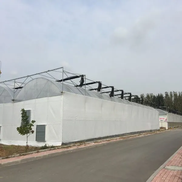 Plastic Film Greenhouse for Tomato/Cucumber/Lettuce Planting photo-2