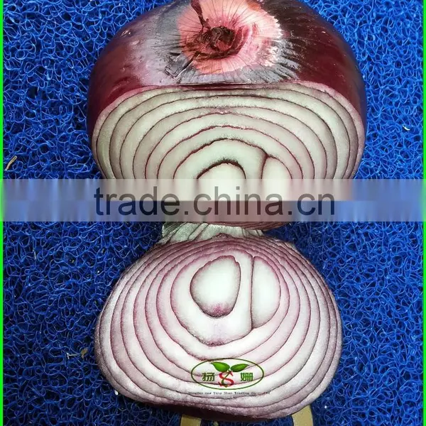 Mesh Bag/carton Packaging Red One Onion Prices photo-2