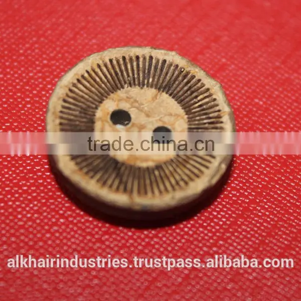 New Natural Coconut Buttons photo-2