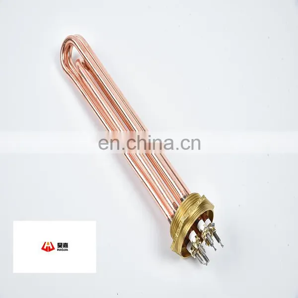 The Popular Customize Copper Water Heater 110v Small Water Heater 120v Immersion Water Heater photo-3