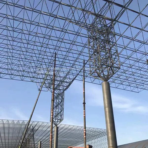 Steel Structure Space Frame Light Steel Coal Storage Grid Steel Structure photo-3