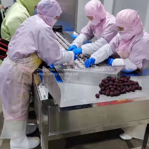High Efficiency Automatic Fruit Pitting Machine Cherry Pitter Olive Pitter Machine for Fruit Processing Plants photo-4