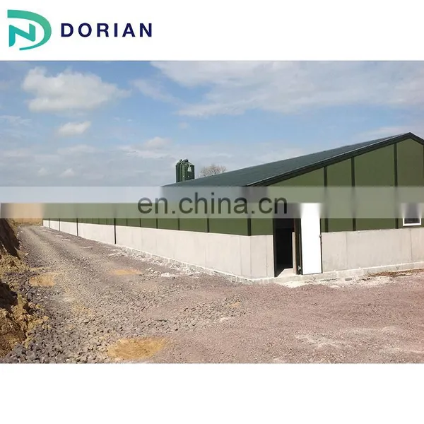 High Strength Multi-span Chicken House Steel Structure Chicken Farm Poultry House photo-4