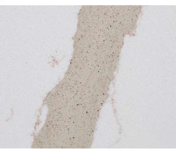 Code：7240，Calacatta Artificial Stone Quartz Slab Kitchen Countertops photo-2