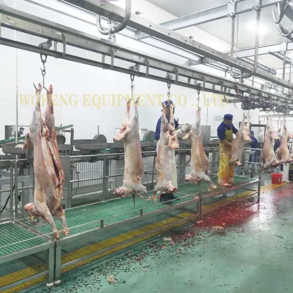 100–1000 Heads Per Shift Cattle Slaughter Production Line Customized Cow Abattoir Equipment Manufacturer photo-4