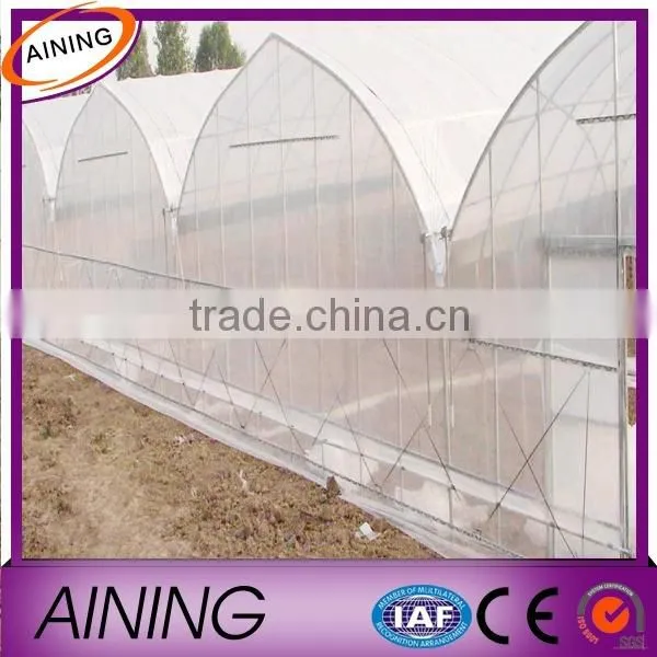 Professional Factory Greenhouse Plastic Film, PE Greenhouse Plastic Quality Choice photo-4