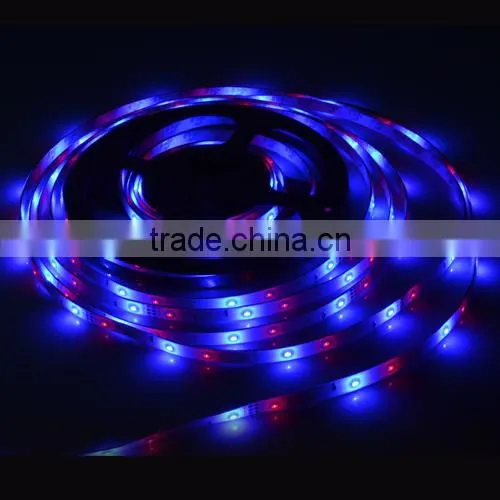3014 LED Strip RGB 54Led/m Waterproof Led Diode Tape Ribbon + 10Key RF Controller + 2A Power Adapter For Home Garden Decoration photo-6