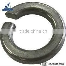 External Tooth Lock Washer