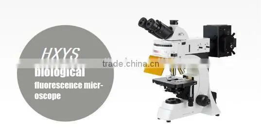 HXYS Fluorescence Microscope