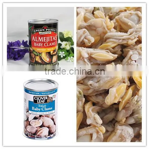 Canned Baby Clam in Brine photo-4