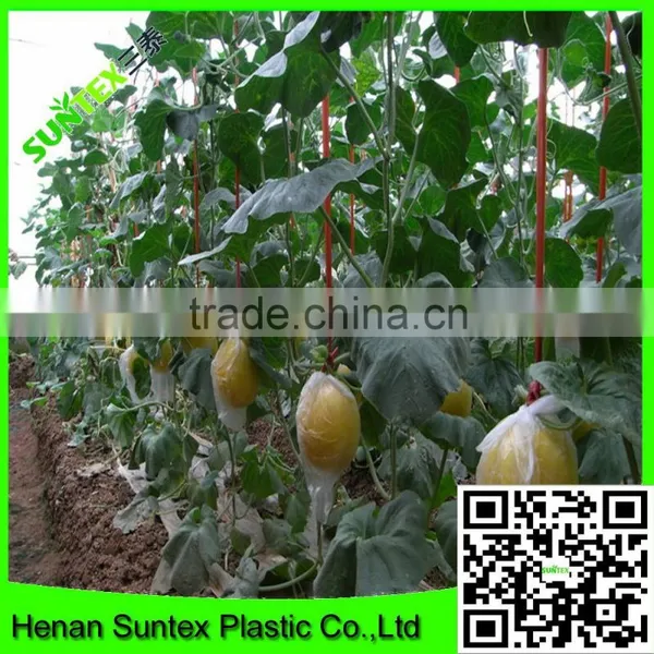 Heavy Duty Long-lasting Flexible Growing Vine Vegetables Support Net photo-4