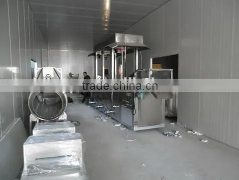 100kg/h Fried Potato Chips Production Line photo-5