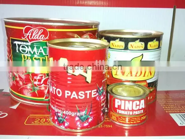 Printing Label Canned Tomato Paste 800gram ~ 3000gram photo-2