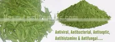 Neem Leaf Powder photo-5